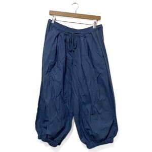 Anthropologie Blue Mid-Rise Slouchy Relaxed-Fit Baggy Pants Size Medium P